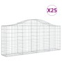 Cesti Gabbioni ad Arco 25 pz 200x30x80/100 cm Ferro Zincato