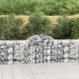 Cesti Gabbioni ad Arco 11 pz 200x50x80/100 cm Ferro Zincato