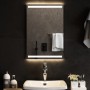 Specchio da Bagno con Luci LED 40x60 cm