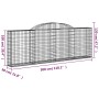 Cesti Gabbioni ad Arco 2 pz 300x30x100/120 cm Ferro Zincato