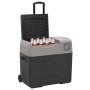 Borsa Frigo con Ruote Adattatore Nera Grigia 40 L Polipropilene