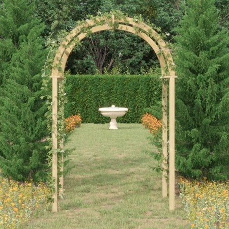 Arco da Giardino 141x97x243 cm in Legno di Pino Impregnato