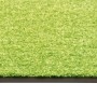 Zerbino Lavabile Verde 60x90 cm