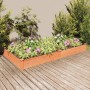 Fioriera da Giardino Fodera Marrone 240x120x25cm Massello Abete