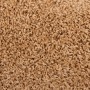 Tappetini per Scale 15 pz Beige 65x21x4 cm