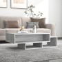 Tavolino da Salotto Grigio Sonoma 105x55x32cm Legno Multistrato