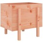 Fioriera da Giardino 62x50x57 cm in Legno Massello di Douglas