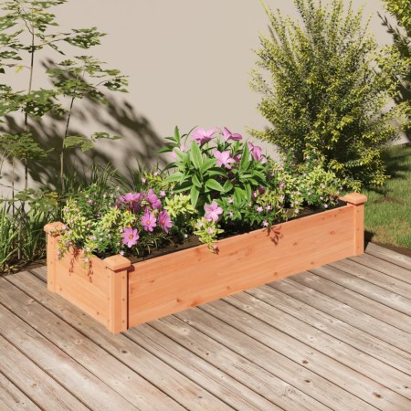 Fioriera Giardino Fodera Marrone 120x45x25cm Massello Abete