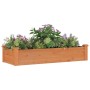 Fioriera Giardino Fodera Marrone 120x45x25cm Massello Abete