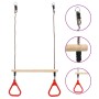 Barra Oscillante a Trapezio con Anelli