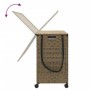 Cesto Portabiancheria con Ruote 66x35x60 cm Rattan