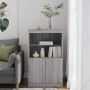 Credenza con Luci LED Grigio Sonoma 60,5x37x100 cm