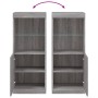 Credenza con Luci LED Grigio Sonoma 41x37x100 cm