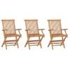 Sedie da Giardino Pieghevoli 3 pz in Legno Massello di Teak