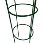 Set Torri ad Arco 2 pz per Piante Rampicanti da Giardino