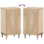 Credenza 40x33x75 cm in Legno Massello di Mango
