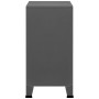 Classificatore Industriale Antracite 75x40x80 cm in Acciaio