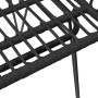 Sedie da Giardino 2pz con Braccioli Nero 56x64x80 cm Rattan PE