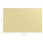 Tappeto da Tenda 250x400 cm Beige