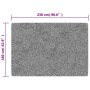 Tappeto Lavabile 160x230 cm Multicolore Antiscivolo