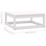 Set Divani da Giardino 14 pz Cuscini Bianchi Massello di Pino