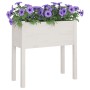 Fioriere da Giardino 2 pz Bianche 70x31x70 cm in Legno di Pino