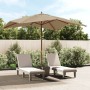 Ombrellone da Giardino con Palo in Legno Tortora 300x300x273 cm