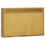 Mobile a Specchio 60x10x40 cm in Legno Massello di Teak