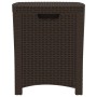 Baule da Giardino 39x39x46 cm in Rattan PP Marrone