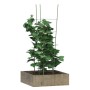 Supporti Piante da Giardino con 4 Anelli 5pz Verde 90cm Acciaio