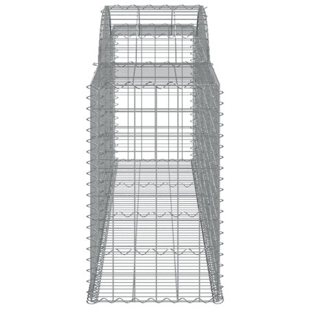 Cesti Gabbioni ad Arco 20 pz 300x50x80/100 cm Ferro Zincato