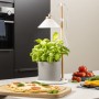 Smartwares Lampada da Coltivazione a LED da Giardino 9W Bianca