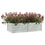 Letto Rialzato Giardino 160x80x45 cm in Acciaio Zincato Argento