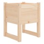 Fioriere 2 pz 40x40x52,5 cm in Legno Massello di Pino