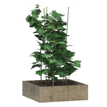 Supporti Piante da Giardino con 3 Anelli 5pz Verde 75cm Acciaio