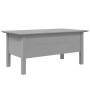 Tavolino da Salotto BODO 100x55x45cm Legno Massello Pino Grigio