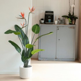 Emerald Strelitzia Pianta Artificiale in Vaso con Fiori 120 cm