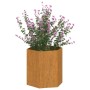 Fioriera Ruggine 40x40x45 cm Acciaio Corten