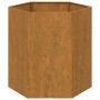 Fioriera Ruggine 40x40x45 cm Acciaio Corten