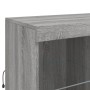 Credenza con Luci LED Grigio Sonoma 81x37x100 cm