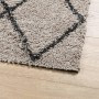 Tappeto Shaggy PAMPLONA Pelo Lungo Beige e Antracite 120x170 cm