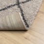 Tappeto Shaggy PAMPLONA Pelo Lungo Beige e Antracite 120x170 cm