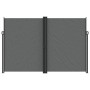 Tenda da Sole Laterale Retrattile Antracite 220x1000 cm