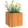 Fioriera da Giardino 35x35x35 cm in Legno Massello di Acacia