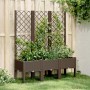 Fioriera da Giardino con Traliccio Marrone 120x40x142 cm in PP