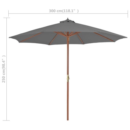 Ombrellone da Esterni con Palo in Legno 300 cm Antracite