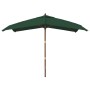 Ombrellone da Giardino con Palo in Legno Verde 300x300x273 cm