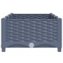 Fioriera Rialzata 120x40x23 cm in Polipropilene