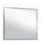 Specchio da Parete a LED per Bagno 80x60 cm