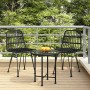 Sedie da Giardino 2pz Nere 48x62x84 cm Rattan PE